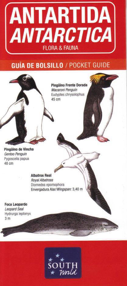 ANTARTIDA