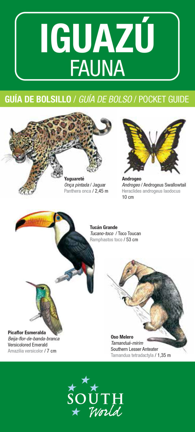 IGUAZU. Fauna.
